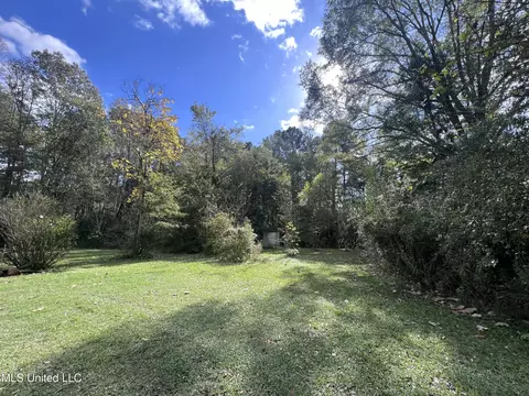 111 E Pittman Cir, Pearl, MS 39208 photo 30