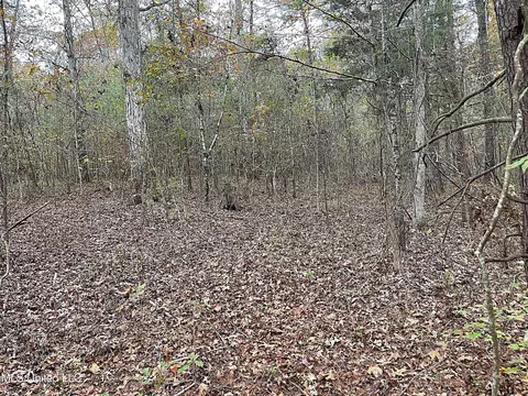 Harkins Road, Carthage, MS 39051 photo 12