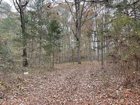 Harkins Road, Carthage, MS 39051 photo 5