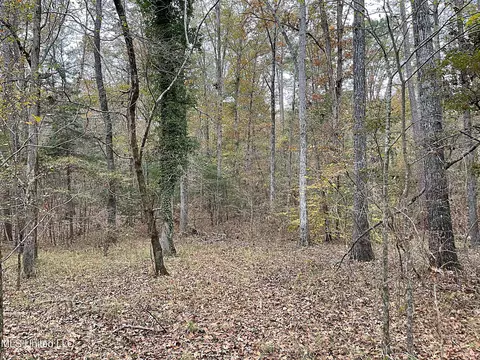 Harkins Road, Carthage, MS 39051 photo 3