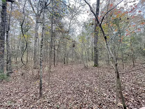 Harkins Road, Carthage, MS 39051 photo 7