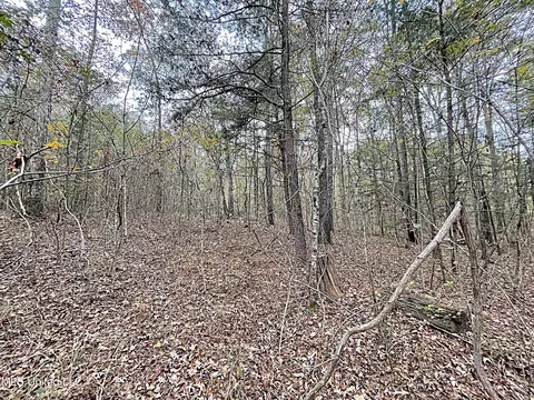 Harkins Road, Carthage, MS 39051 photo 8