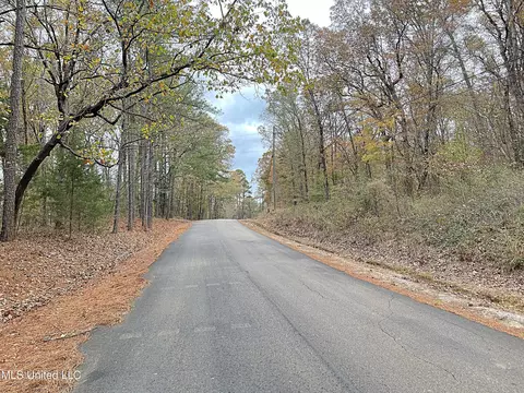 Harkins Road, Carthage, MS 39051 photo 2