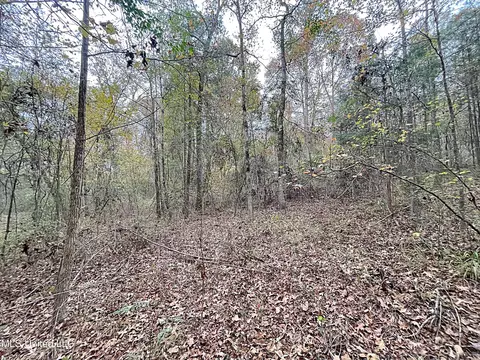 Harkins Road, Carthage, MS 39051 photo 13