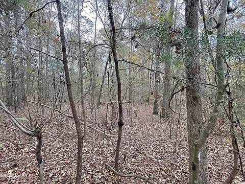 Harkins Road, Carthage, MS 39051 photo 9