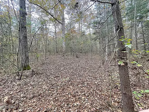 Harkins Road, Carthage, MS 39051 photo 11