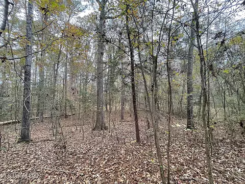 Harkins Road, Carthage, MS 39051 photo 6