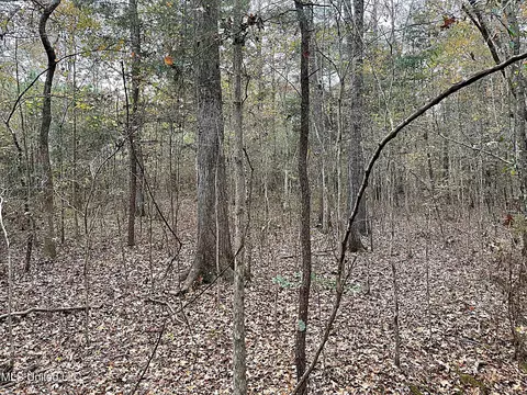 Harkins Road, Carthage, MS 39051 photo 4