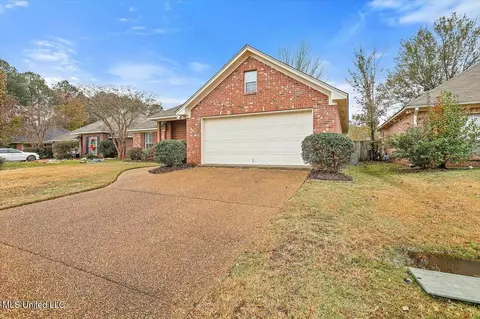 304 Silverleaf Cv, Brandon, MS 39047 photo 3