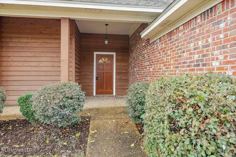 304 Silverleaf Cv, Brandon, MS 39047 photo 4