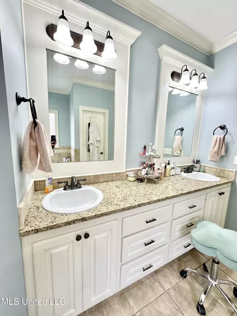 Bath - 715 Tortoise Rdg, Brandon, MS 39047 photo 1 of 5