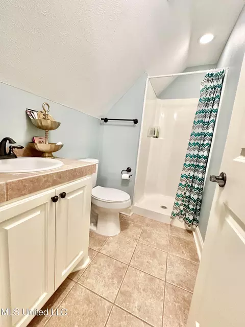 Bath - 715 Tortoise Rdg, Brandon, MS 39047 photo 4 of 5