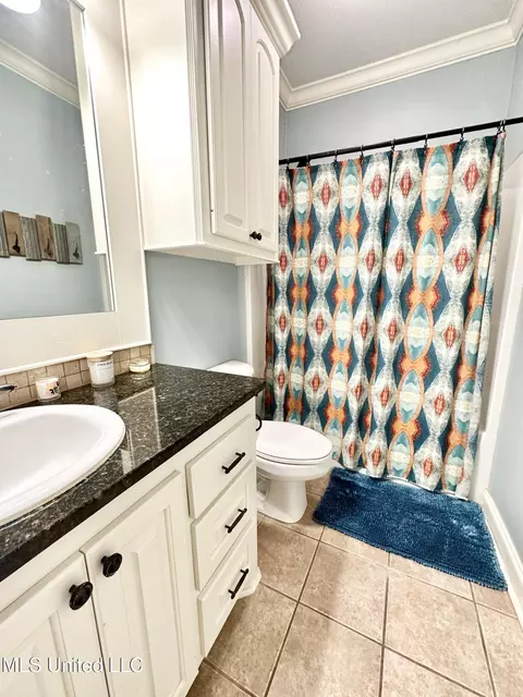 Bath - 715 Tortoise Rdg, Brandon, MS 39047 photo 5 of 5