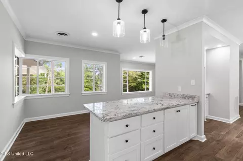 Other - 112 Louis Wilson Dr, Brandon, MS 39042 photo 4 of 20