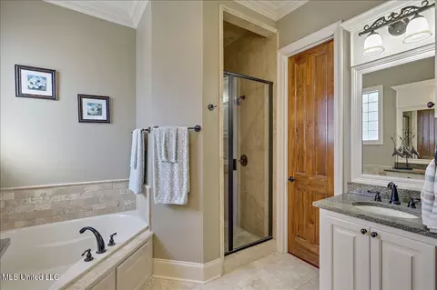 Bath - 157 Harbor View Dr, Madison, MS 39110 photo 3 of 6