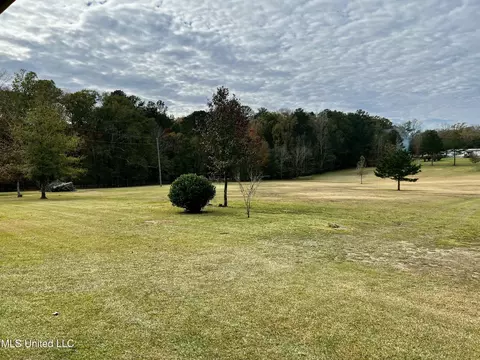 Exterior - 133 Mcgee Ln, Florence, MS 39073 photo 14 of 14