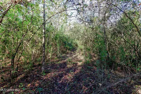 58 Boaz Pl, Picayune, MS 39466 photo 48
