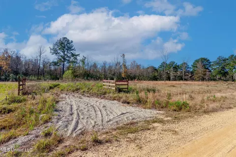 58 Boaz Pl, Picayune, MS 39466 photo 36