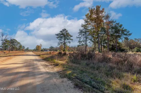 58 Boaz Pl, Picayune, MS 39466 photo 41