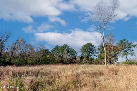 58 Boaz Pl, Picayune, MS 39466 photo 35
