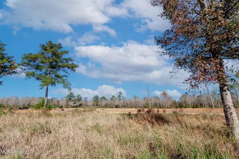 58 Boaz Pl, Picayune, MS 39466 photo 52