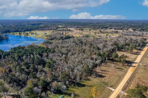 58 Boaz Pl, Picayune, MS 39466 photo 19