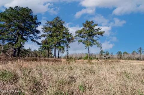 58 Boaz Pl, Picayune, MS 39466 photo 2