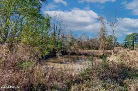 58 Boaz Pl, Picayune, MS 39466 photo 38