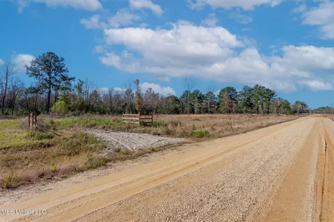 58 Boaz Pl, Picayune, MS 39466 photo 37