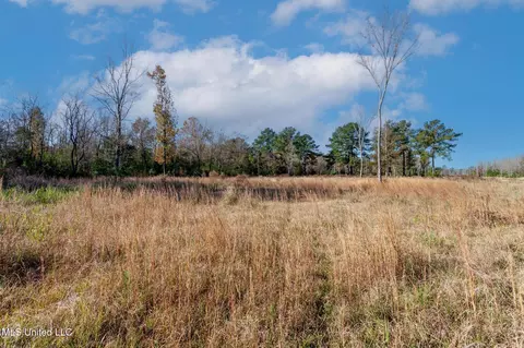 58 Boaz Pl, Picayune, MS 39466 photo 34