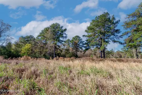 58 Boaz Pl, Picayune, MS 39466 photo 9