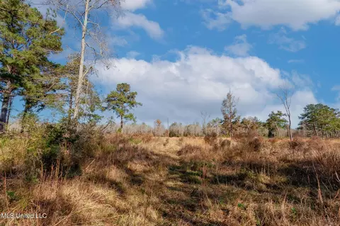 58 Boaz Pl, Picayune, MS 39466 photo 43