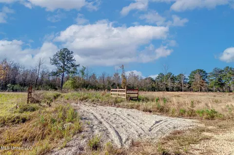 58 Boaz Pl, Picayune, MS 39466 photo 54