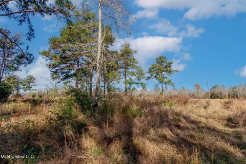 58 Boaz Pl, Picayune, MS 39466 photo 39