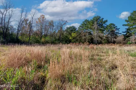 58 Boaz Pl, Picayune, MS 39466 photo 28