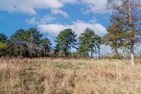58 Boaz Pl, Picayune, MS 39466 photo 20