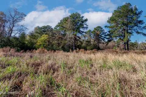 58 Boaz Pl, Picayune, MS 39466 photo 53