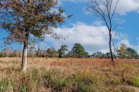 58 Boaz Pl, Picayune, MS 39466 photo 51