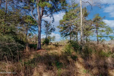 58 Boaz Pl, Picayune, MS 39466 photo 45