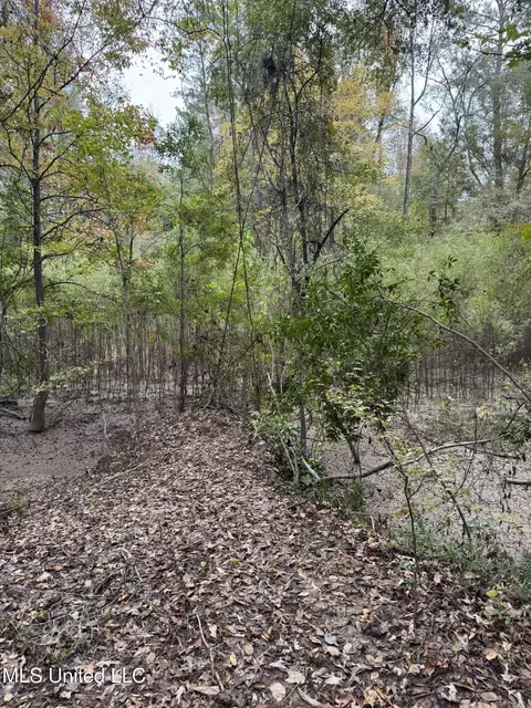 Deer Lake Rd, Natchez, MS 39120 photo 8