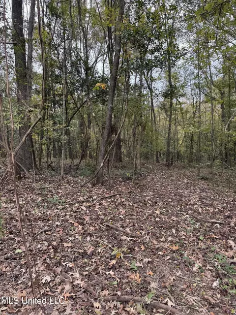 Deer Lake Rd, Natchez, MS 39120 photo 11