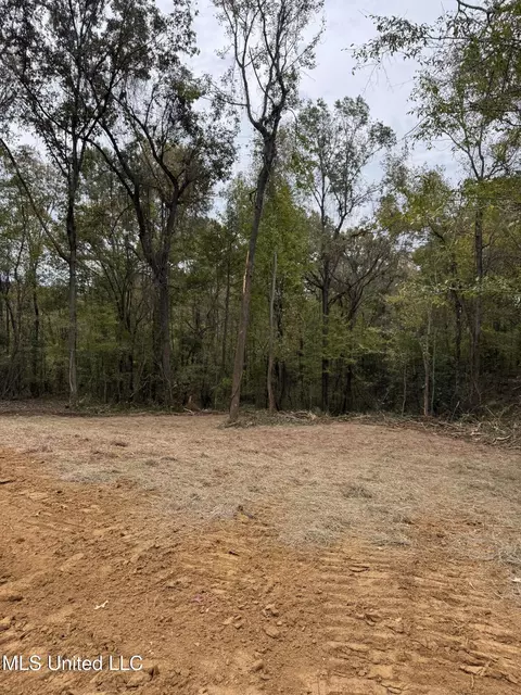Deer Lake Rd, Natchez, MS 39120 photo 3