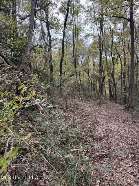Deer Lake Rd, Natchez, MS 39120 photo 7