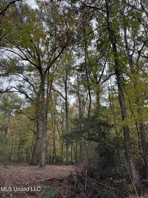 Deer Lake Rd, Natchez, MS 39120 photo 10