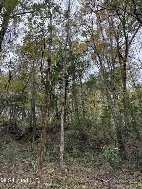 Deer Lake Rd, Natchez, MS 39120 photo 9