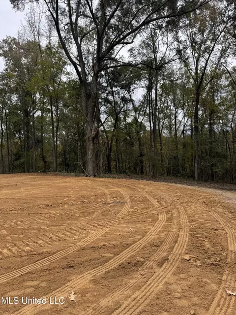 Deer Lake Rd, Natchez, MS 39120 photo 4