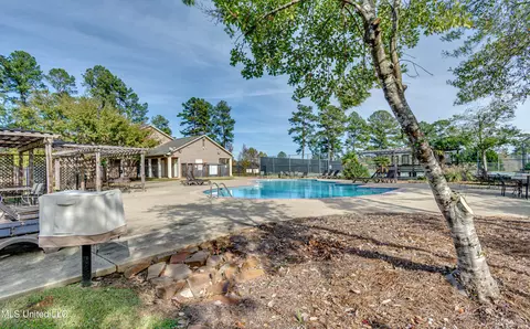716 Hunter Hl, Brandon, MS 39047 photo 41