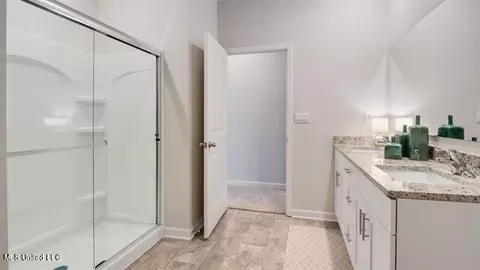 2466 Hyacinth Cv, Hernando, MS 38632 photo 13
