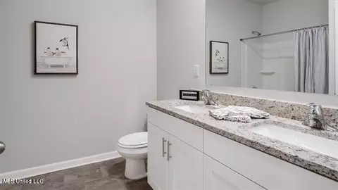 2466 Hyacinth Cv, Hernando, MS 38632 photo 17