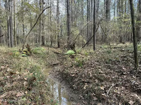 W County Line Road, Jackson, MS 39213 photo 10